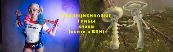 соль ск Вязьма