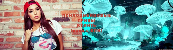 герыч Вяземский