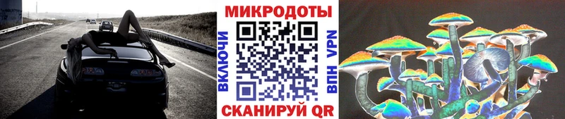 Галлюциногенные грибы Psilocybine cubensis  Змеиногорск 