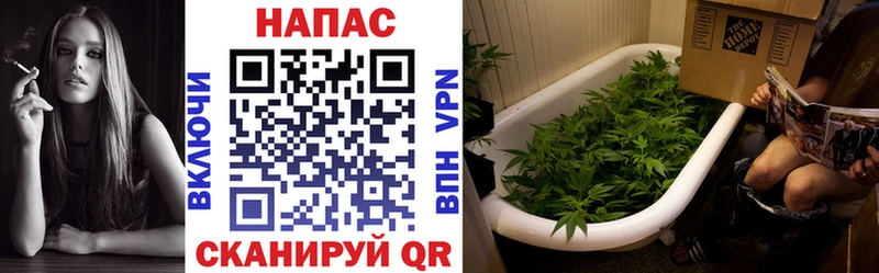 Бошки марихуана сатива Змеиногорск