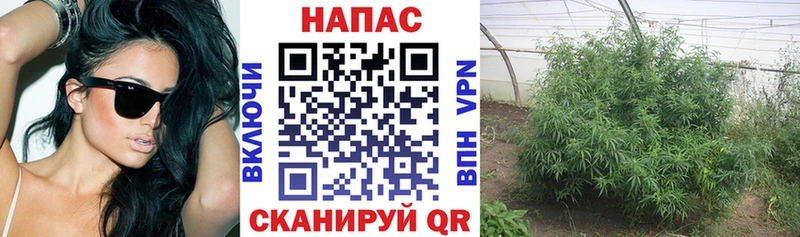 где можно купить   Змеиногорск  МАРИХУАНА Ganja 